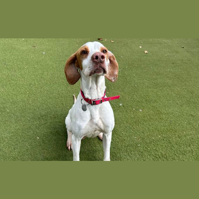 Photo of Jessie