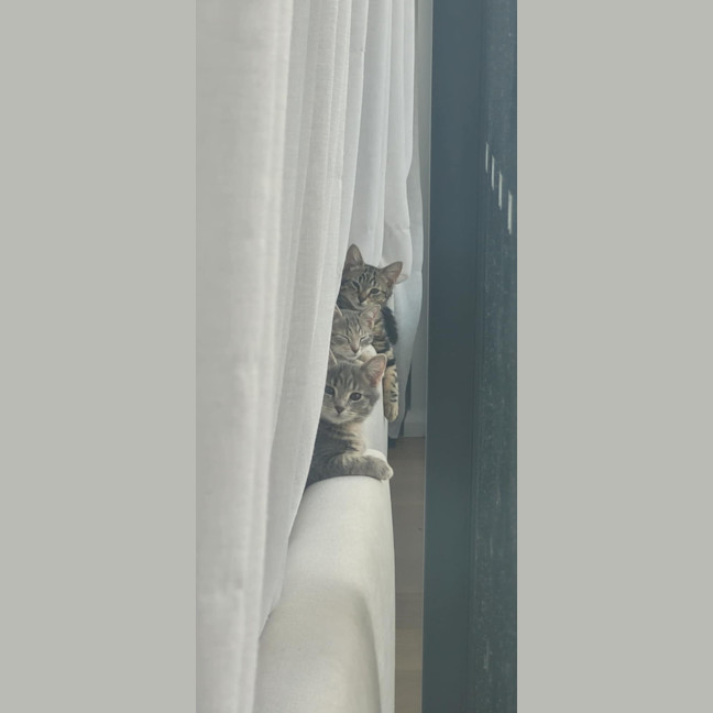 Photo of Smokin 🔥