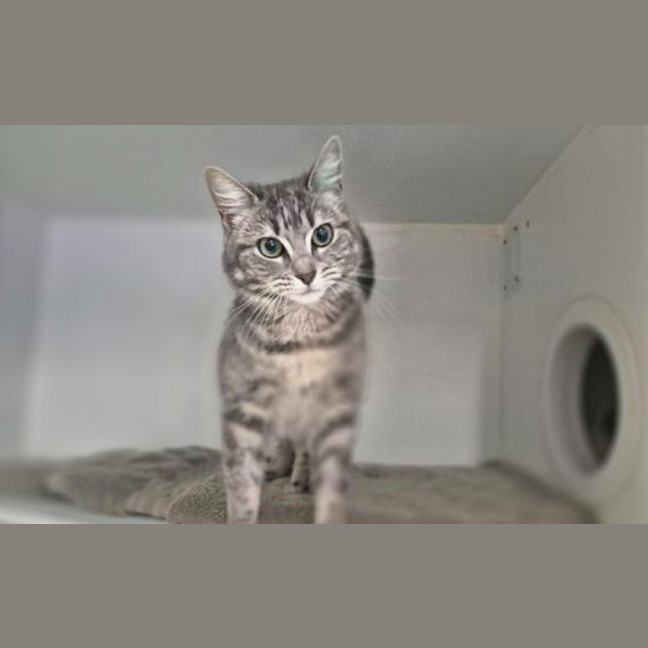 Photo of Maggie