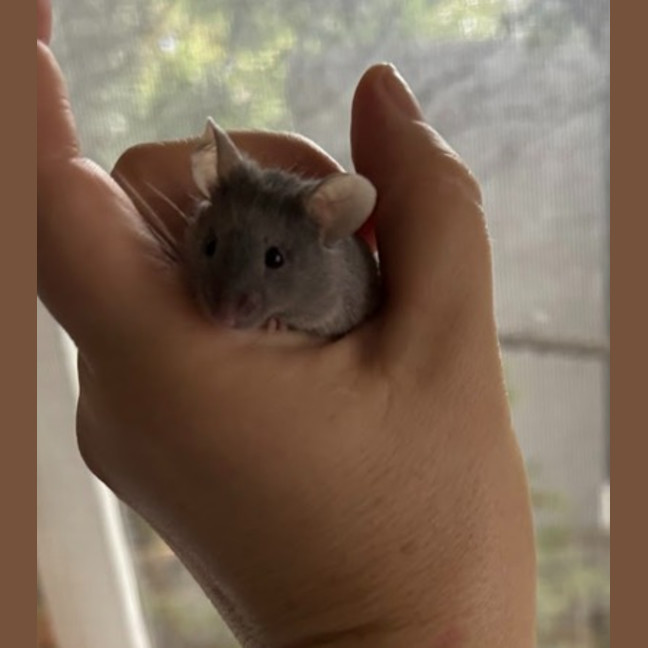 Photo of Christian Grey