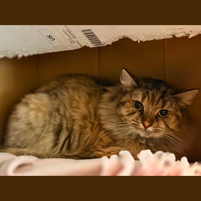 Photo of Sprout