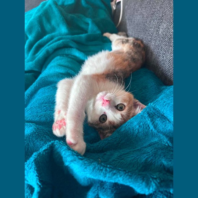 Photo of Cally