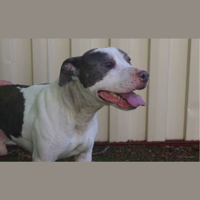 Photo of Walter