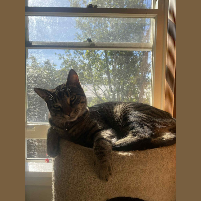 Photo of Dopey