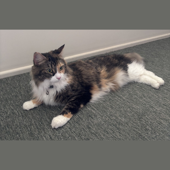Photo of Lexi