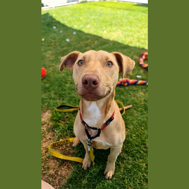 Photo of Ransom