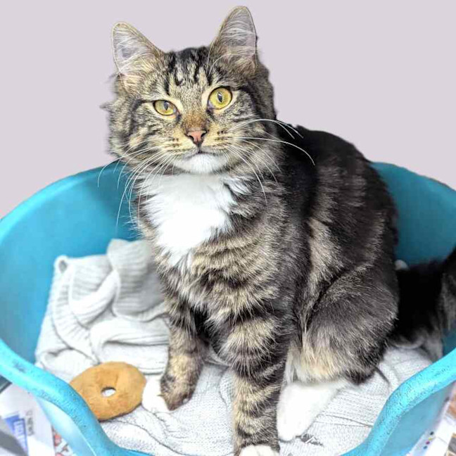 Photo of Baby Keem