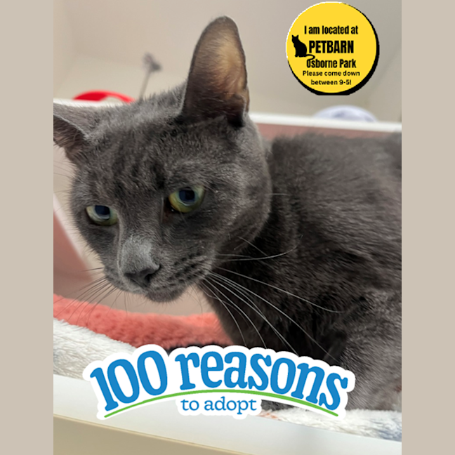 Photo of Stormy