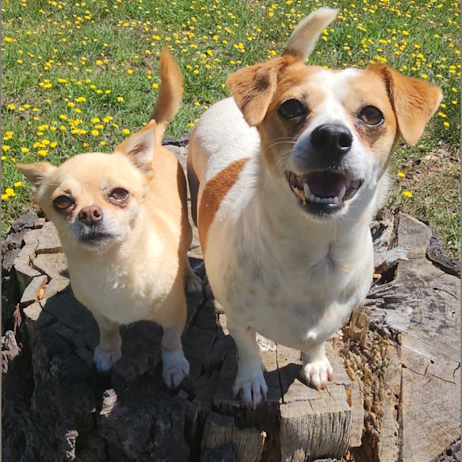 Photo of Vander And Biggie