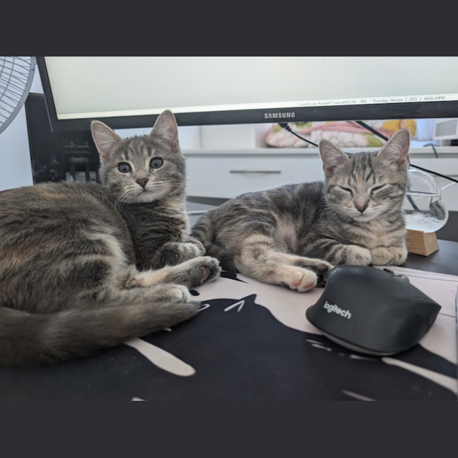 Photo of Ash Wednesday 🩶