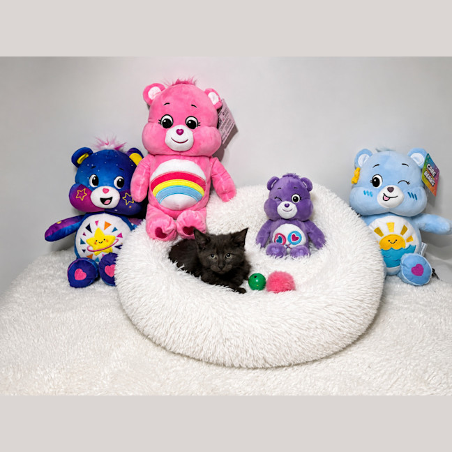 Photo of Kiara