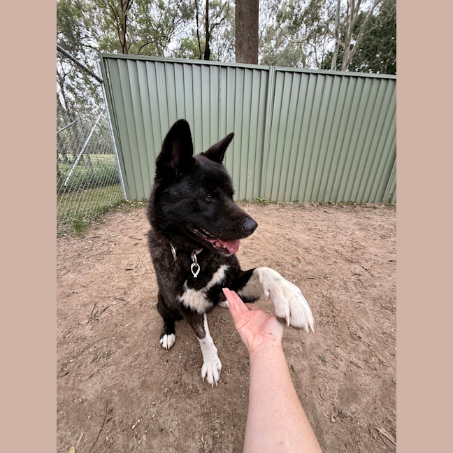 Photo of Kita