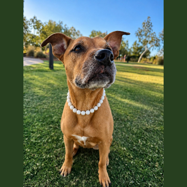 Photo of Kya