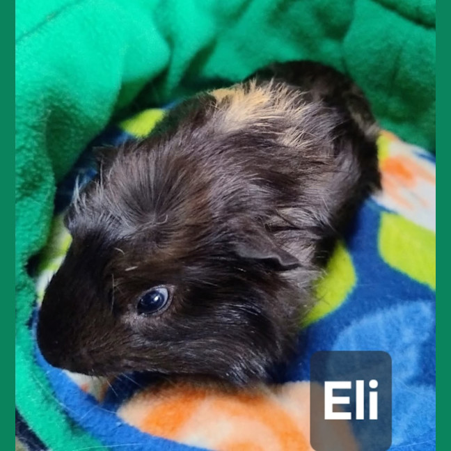 Photo of Eli