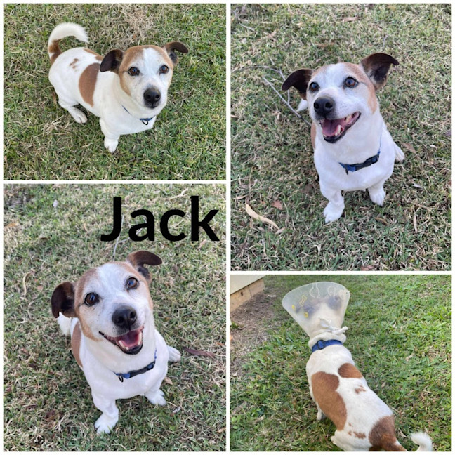 Photo of Jack