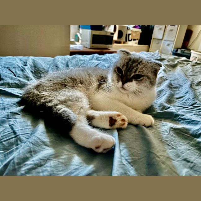 Photo of Reyne (Rain)