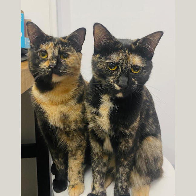 Photo of Carmen & Sheila