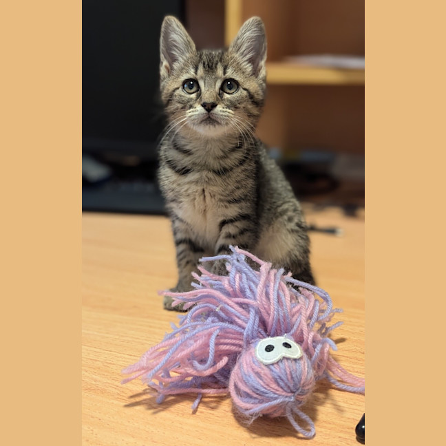 Photo of Charlotte