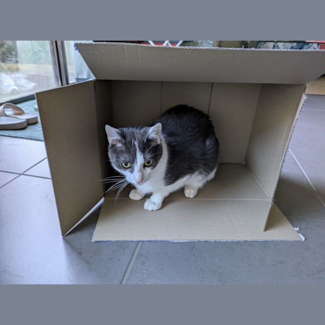 Photo of Max Illingworth