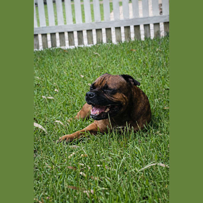 Photo of Bambino And Sammi 