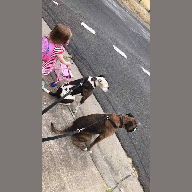 Photo of Leo And Harley