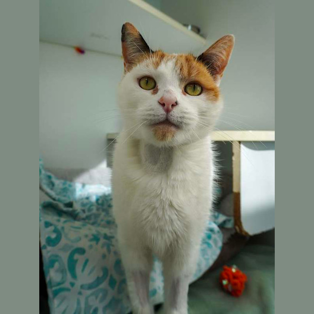 Photo of Bingo