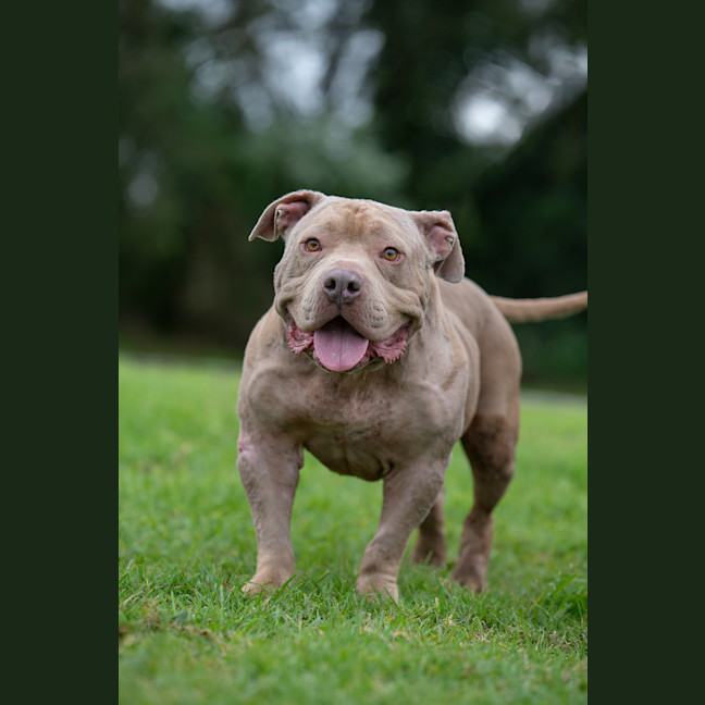 Photo of Wally