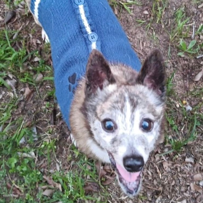 Photo of Sunny And Pj 