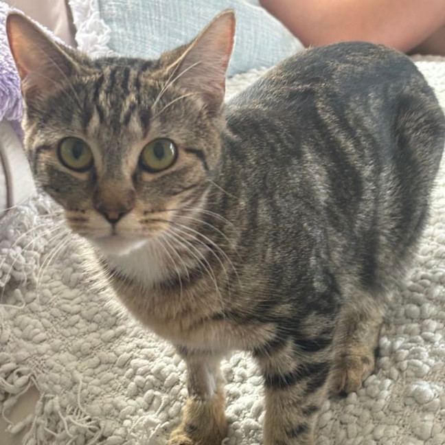 Photo of Lily