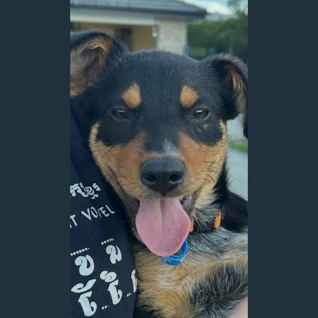 Photo of Elliot