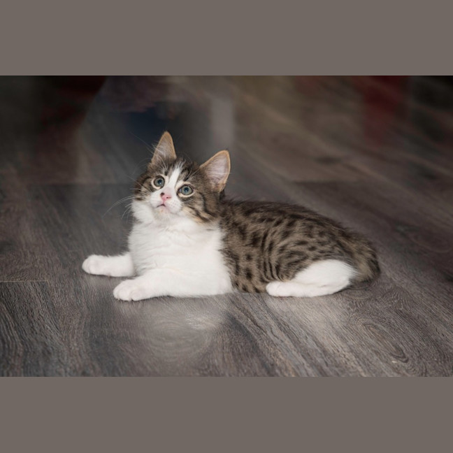 Photo of Lucifer