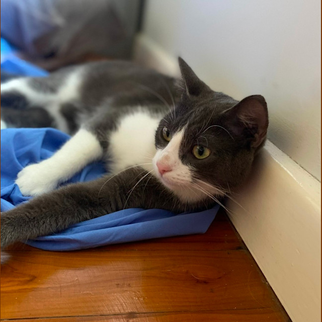 Photo of Storm (9173)