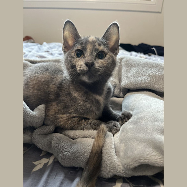 Photo of Vera & Violet