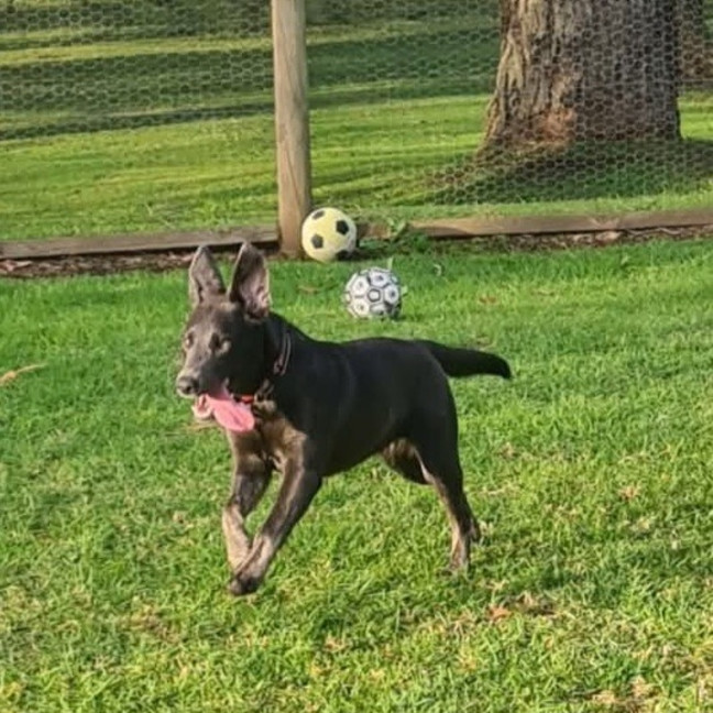Photo of Tilly