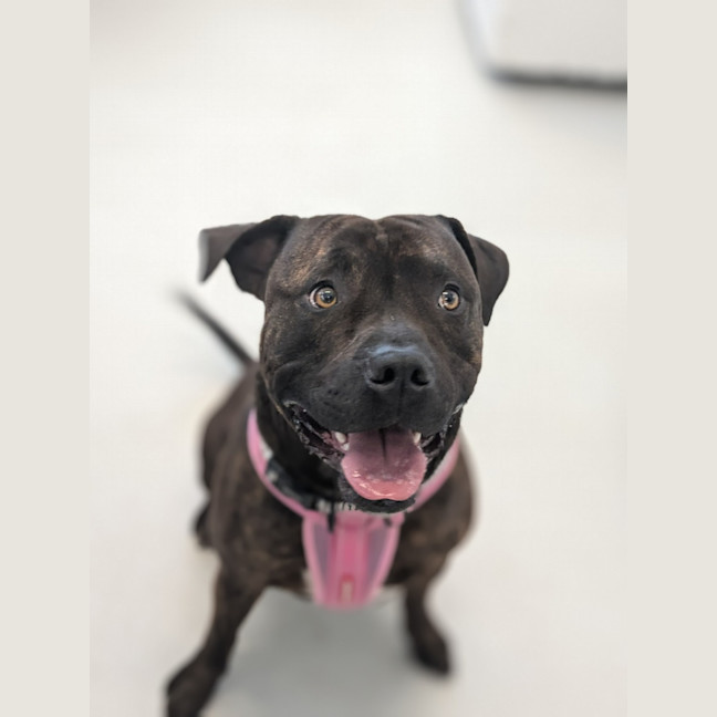 Photo of 🍃 Miguel 5402 🍃