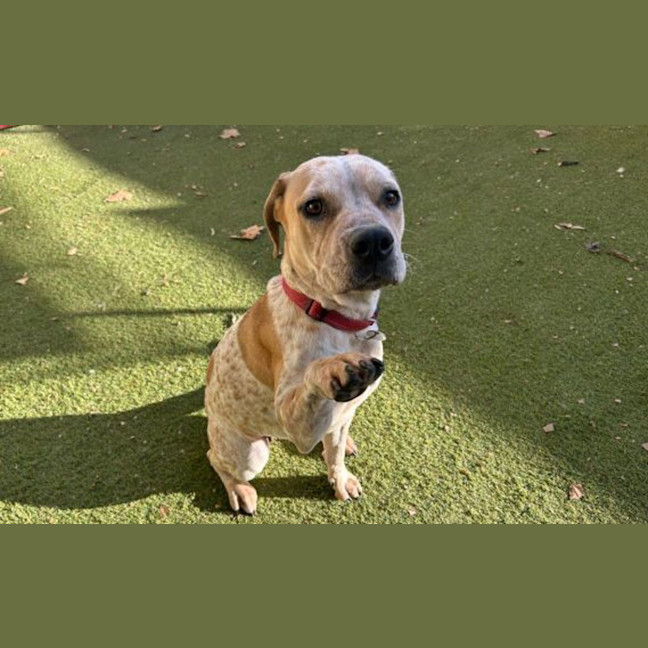 Photo of Darla