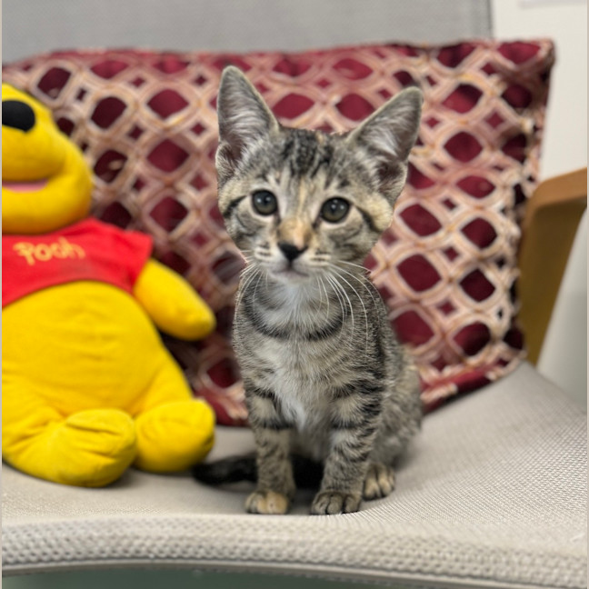 Photo of Winnie 