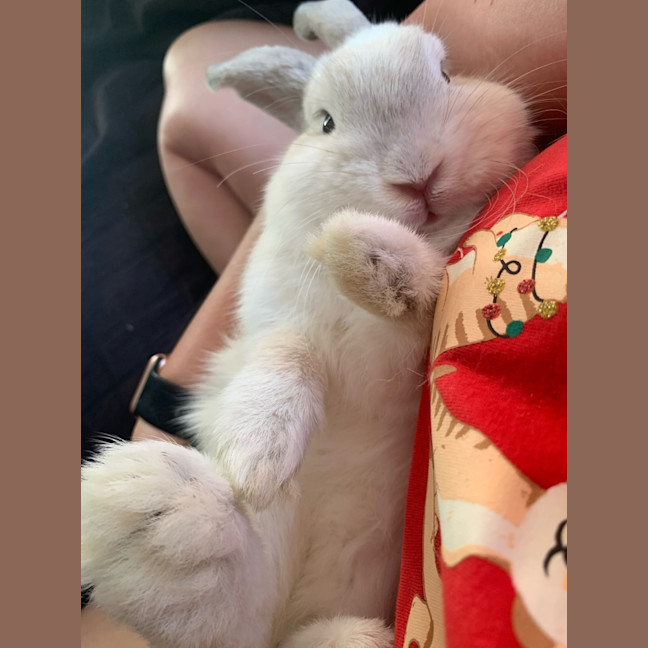 Photo of Marilyn Bunroe