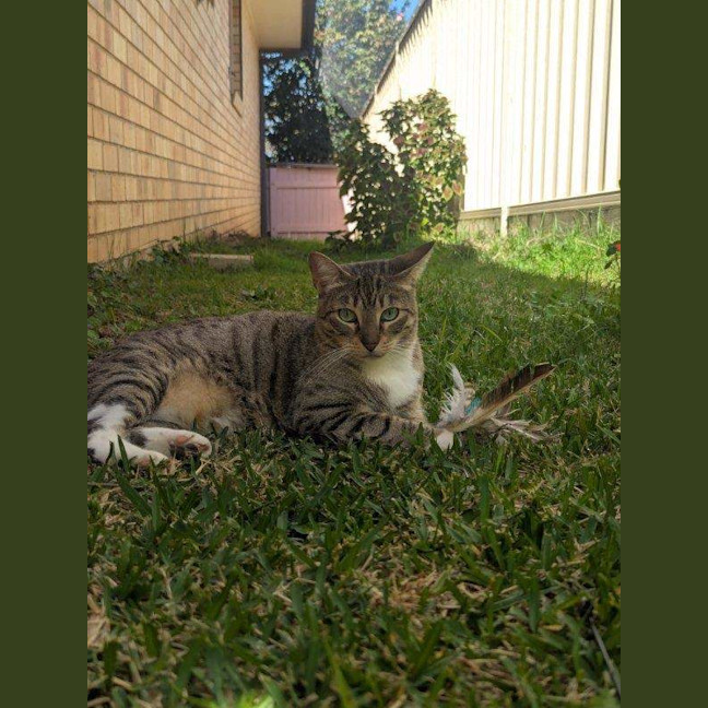 Photo of Pepper
