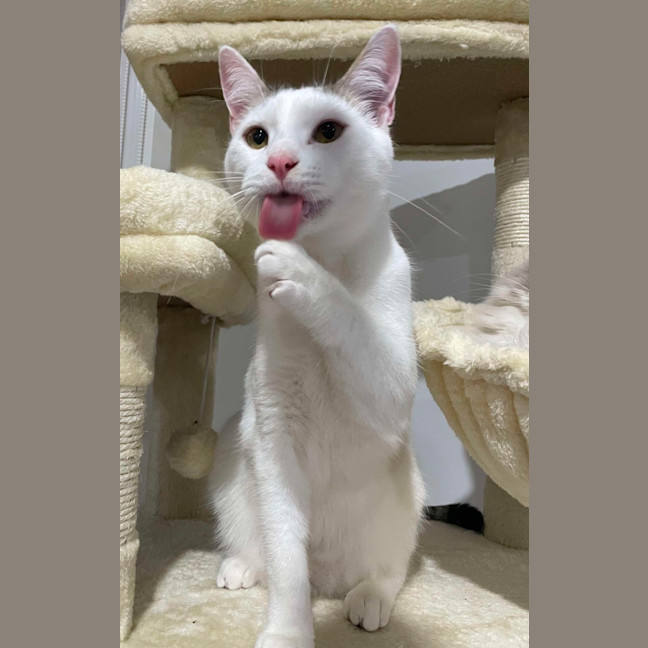 Photo of Wilson 🤍