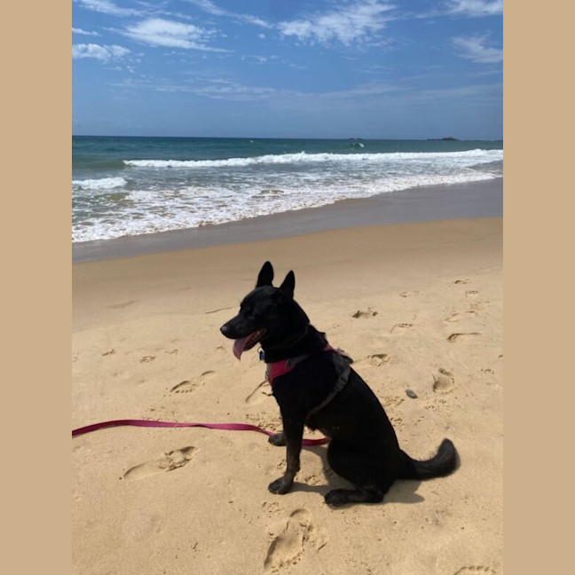Photo of Freya