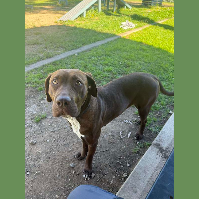 Photo of Luna