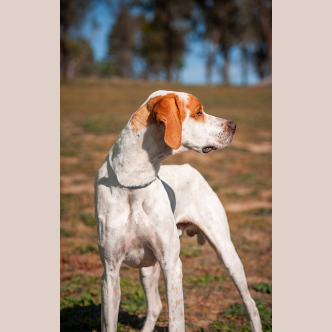 Photo of Walter