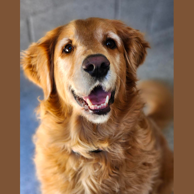 Photo of 🥇Wally 6678 🥇