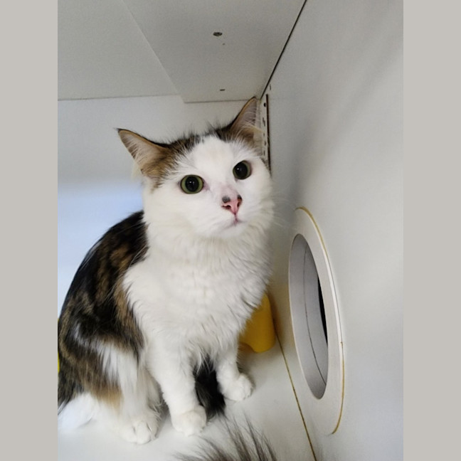 Photo of Bobby And Poker