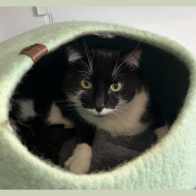 Photo of Gatsby 