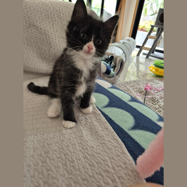 Photo of Mabel