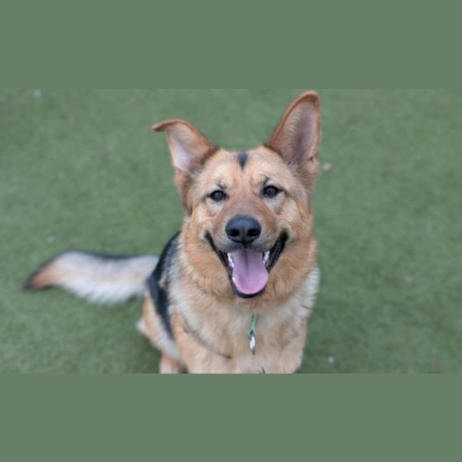 Photo of Roxy 