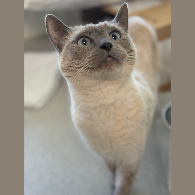 Photo of Princess