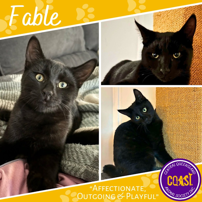 Photo of Fable